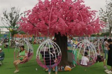 網(wǎng)紅許愿樹