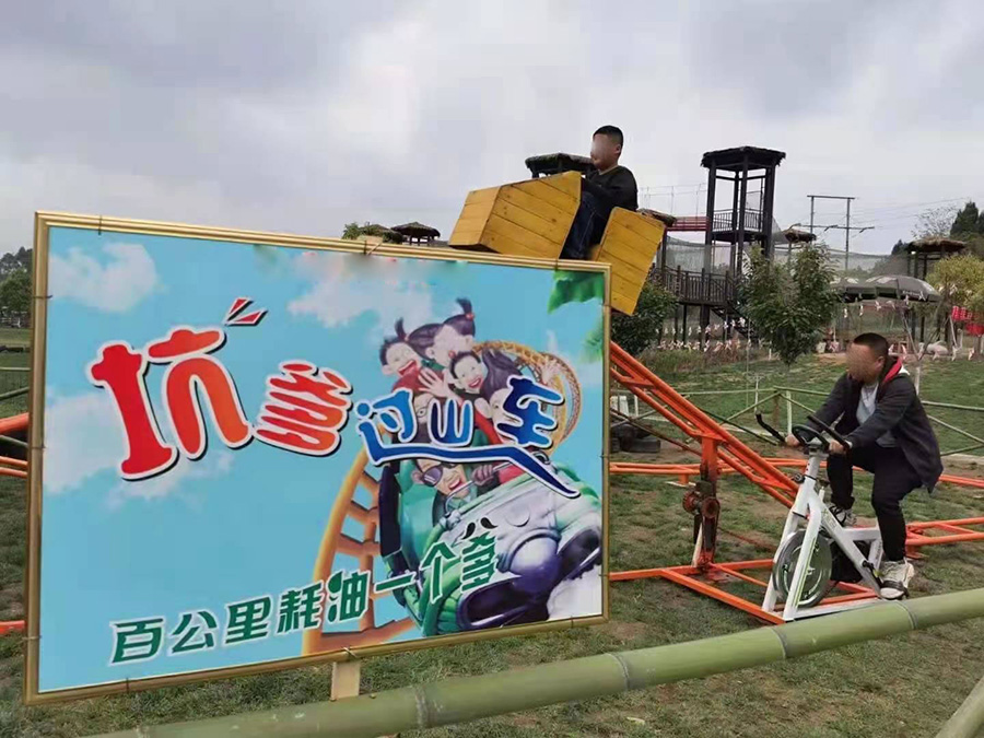 網(wǎng)紅坑爹過山車游樂設(shè)備 網(wǎng)紅坑爹過山車游樂設(shè)備