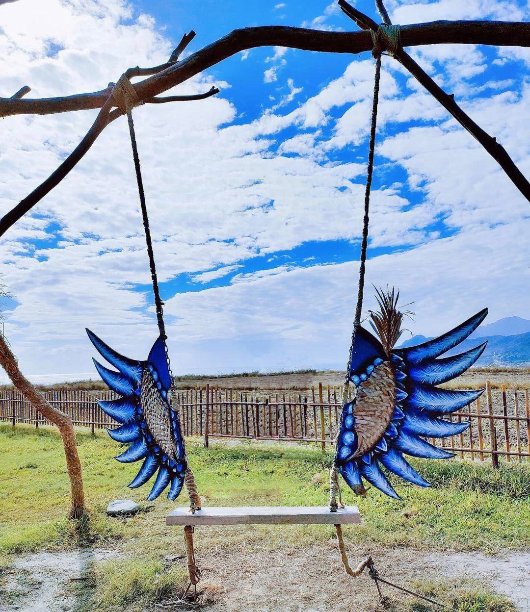 網(wǎng)紅秋千設(shè)備 網(wǎng)紅秋千設(shè)備